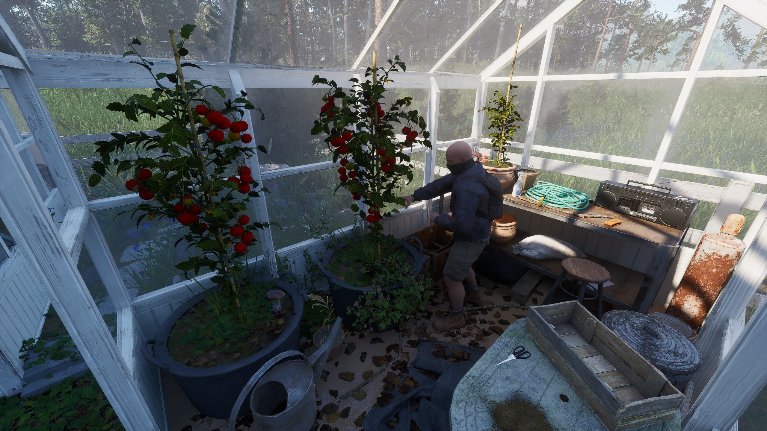 Player farming tomatoes in greenhouse - Ardem farming